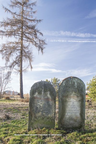 Macewy na cmentarzu żydowskim w Bodzentynie. Fot. Andrzej Bednarz